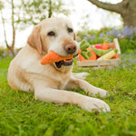 Carrot Plush Dog Toy