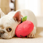 Apple Plush Dog Toy