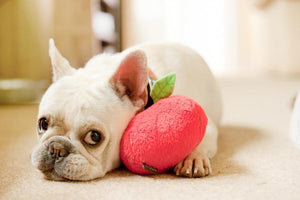 Apple Plush Dog Toy