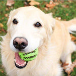 Doggy PetzBall - PetzMagic™