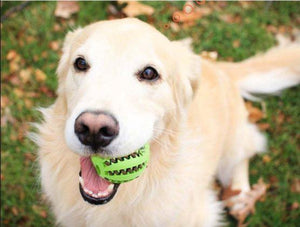 Doggy PetzBall - PetzMagic™