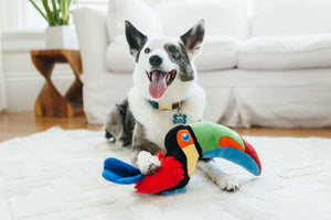 Toucan Plush Dog Toy