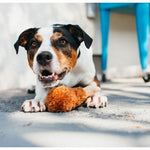 Fried Chicken Plush Dog Toy