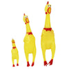 Screaming Rubber Chicken Toy
