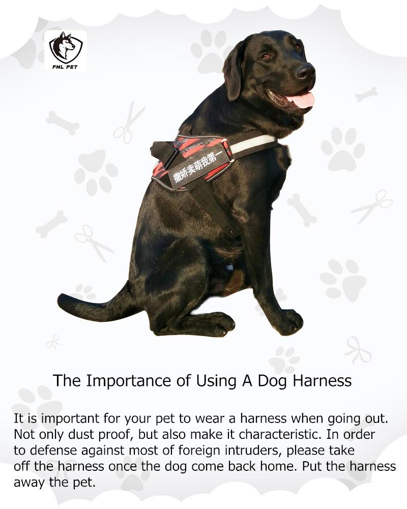 New Heavy Duty Reflective Dog Harness - Free Shipping