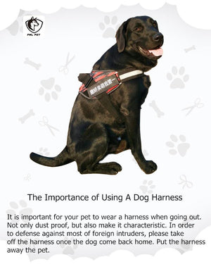New Heavy Duty Reflective Dog Harness - Free Shipping