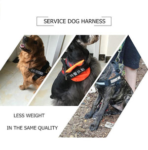 New Heavy Duty Reflective Dog Harness - Free Shipping