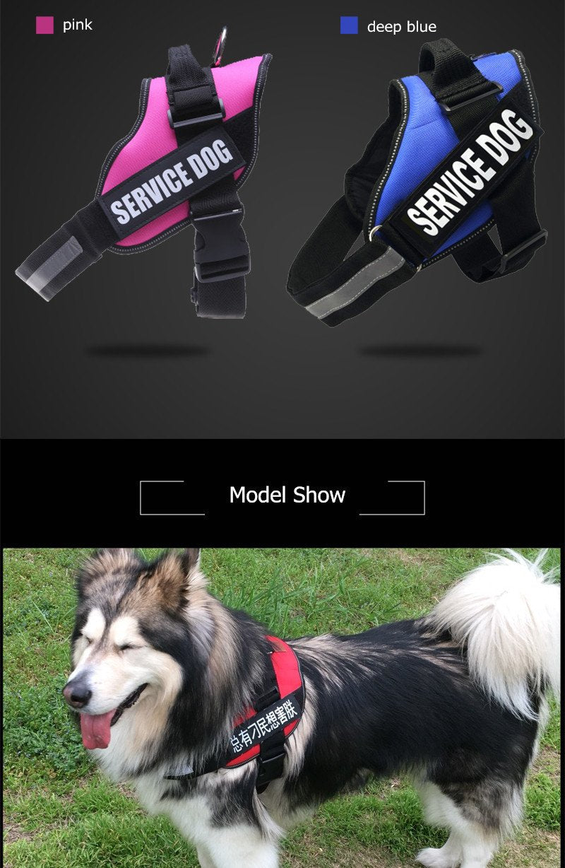 New Heavy Duty Reflective Dog Harness - Free Shipping