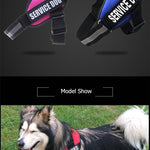 New Heavy Duty Reflective Dog Harness - Free Shipping