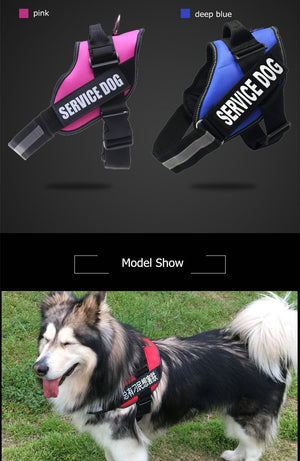 New Heavy Duty Reflective Dog Harness - Free Shipping