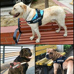 New Heavy Duty Reflective Dog Harness - Free Shipping