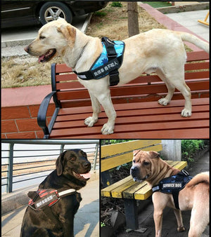 New Heavy Duty Reflective Dog Harness - Free Shipping