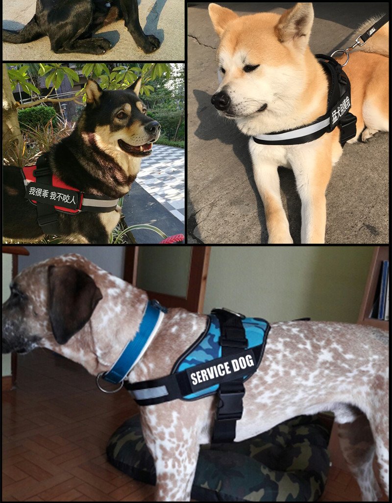 New Heavy Duty Reflective Dog Harness - Free Shipping