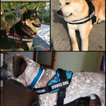 New Heavy Duty Reflective Dog Harness - Free Shipping