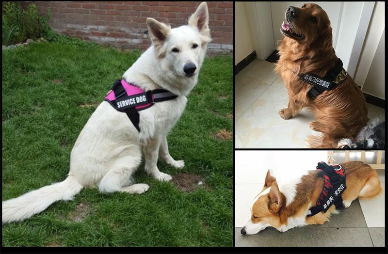 New Heavy Duty Reflective Dog Harness - Free Shipping