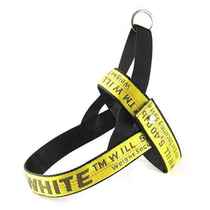 Woof-White Harness & Leash Set